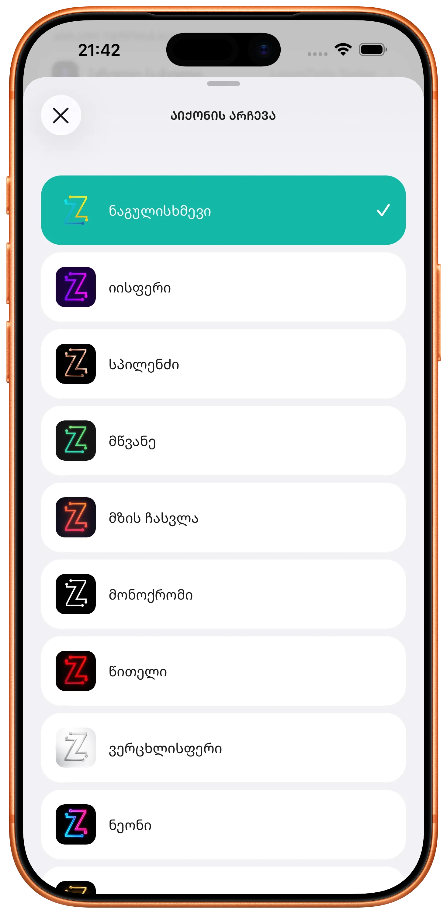 App icon personalization screen in the ZINFO app